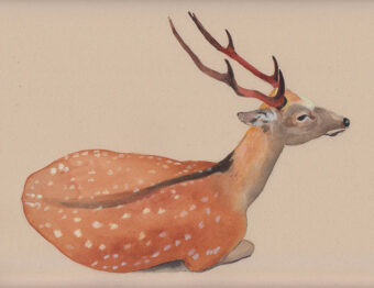 View artwork titled Sacred Nara Deer