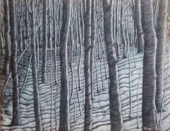 View artwork titled Moonlight on a Winter Wood