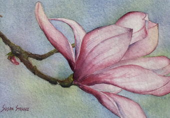 View artwork titled Magnolia Blossom