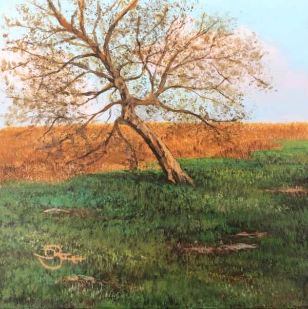 Spring Tree