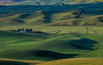 View artwork titled Palouse