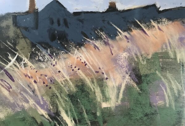 Estate Grasses
