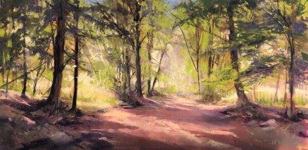 Woodland Stroll