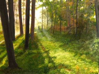 View artwork titled Early Light, Brunswick, ME