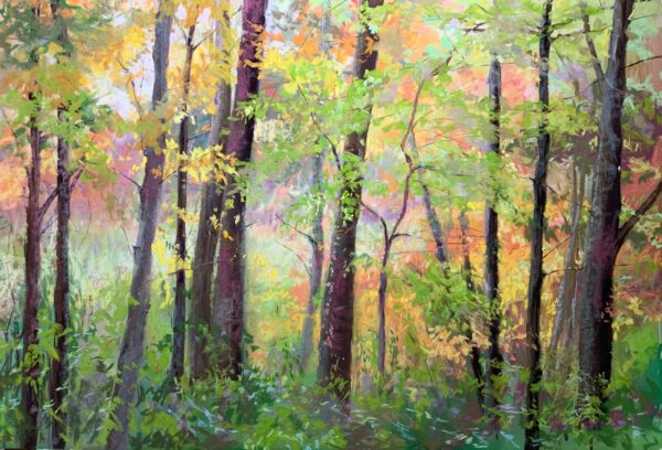 Walk in the Woods