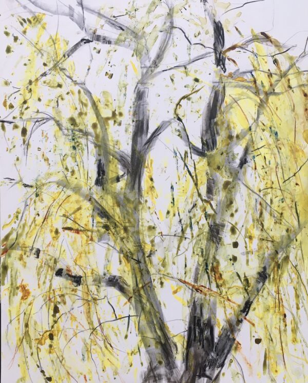 Weeping Willow
