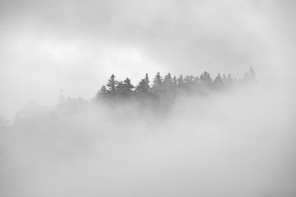 Mountain Side Fog