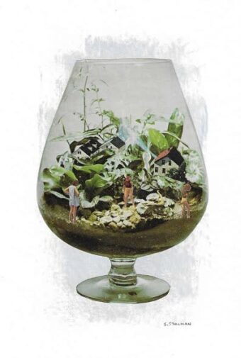 View artwork titled Terrarium Town