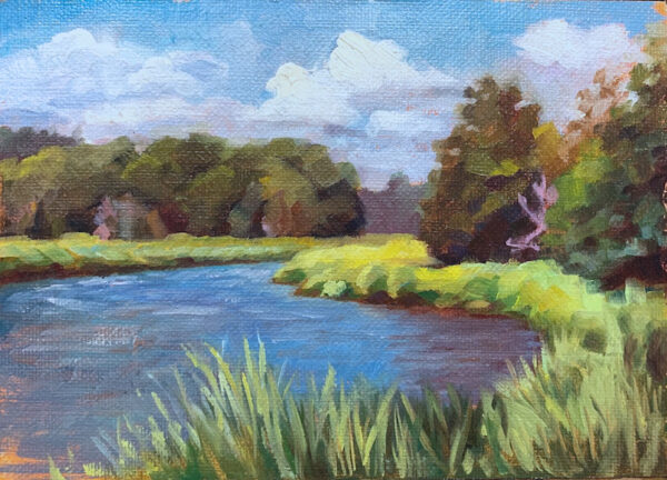 Salt Marsh Study #1