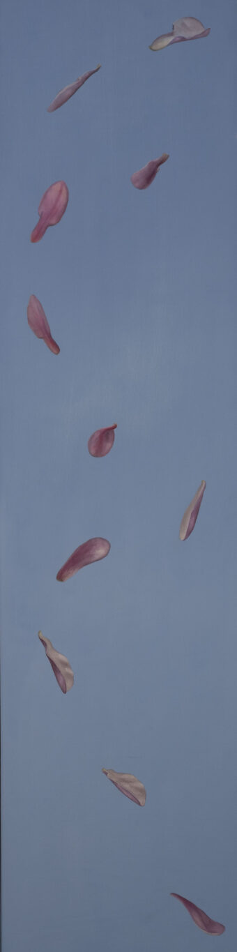 View artwork titled Magnolia Petals: April 8th II