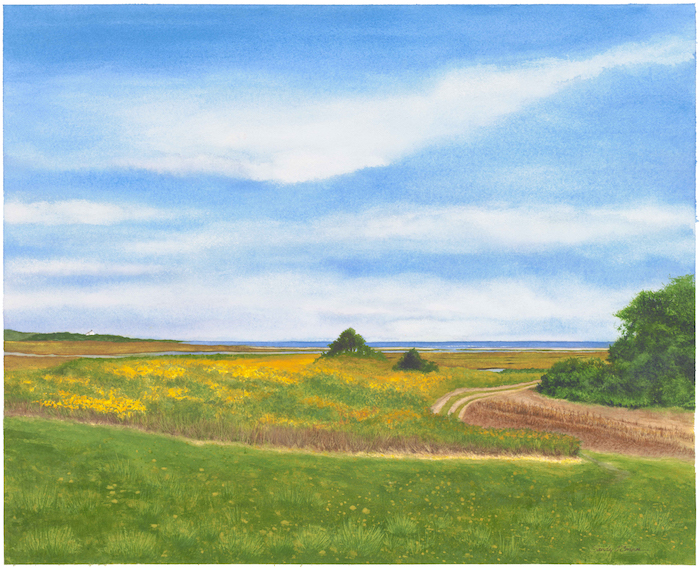 Fort Hill Trial at Nauset Marsh, Eastham, MA