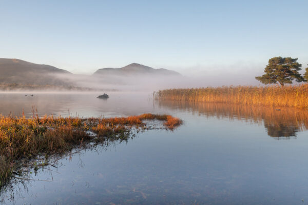 Frosty Morning