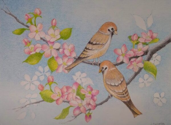 Little Sparrows