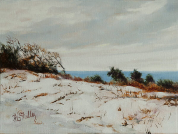 Cape Cod in Winter
