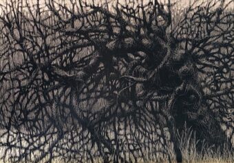 View artwork titled Twisted