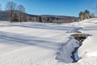 View artwork titled Dorset Field Club III