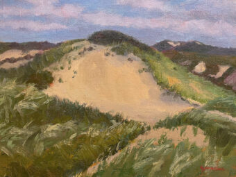 View artwork titled Race Point Morning