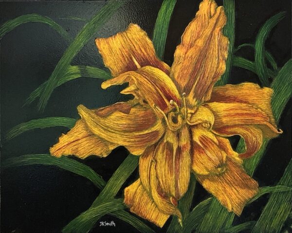 Lily
