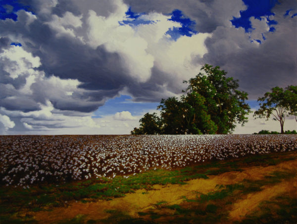 Mississippi Cotton Field