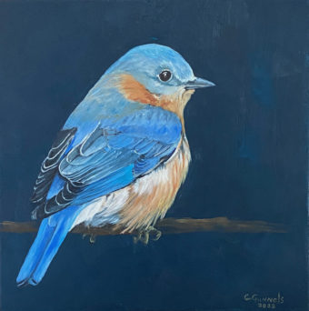 View artwork titled Female Eastern Bluebird