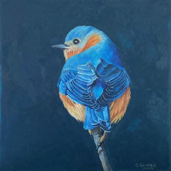 View artwork titled Male Eastern Bluebird