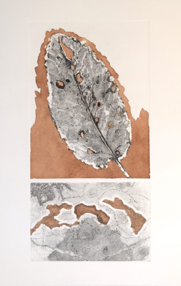 Two Maps