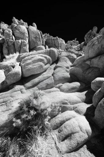 View artwork titled Joshua Tree Staircase