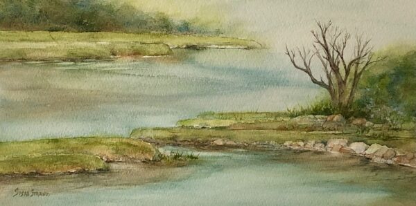 Spring Marsh