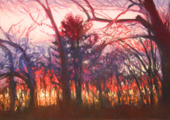 View artwork titled Backyard Sunset