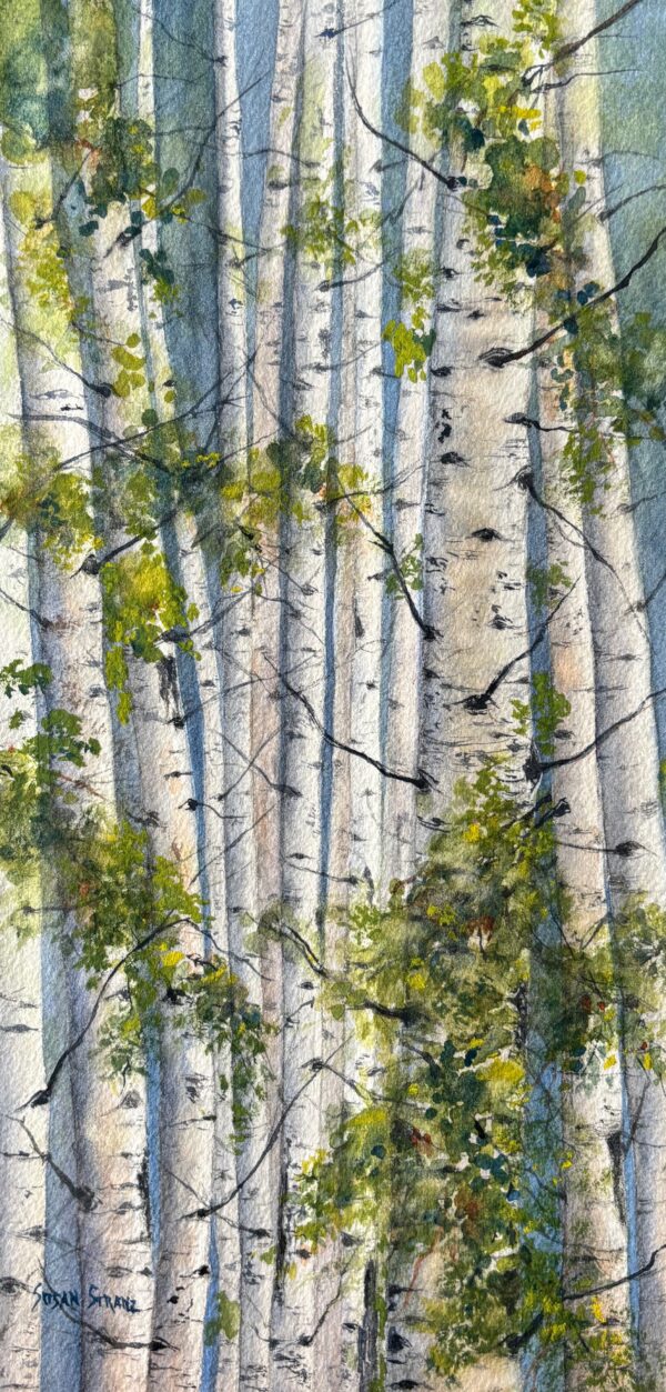 Springtime Birch
