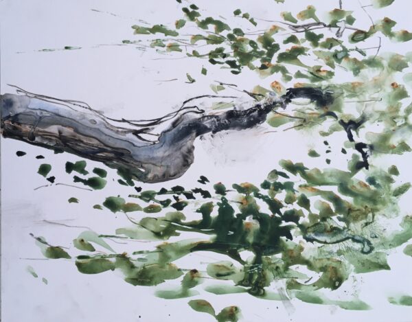 Reaching Out Into Spring