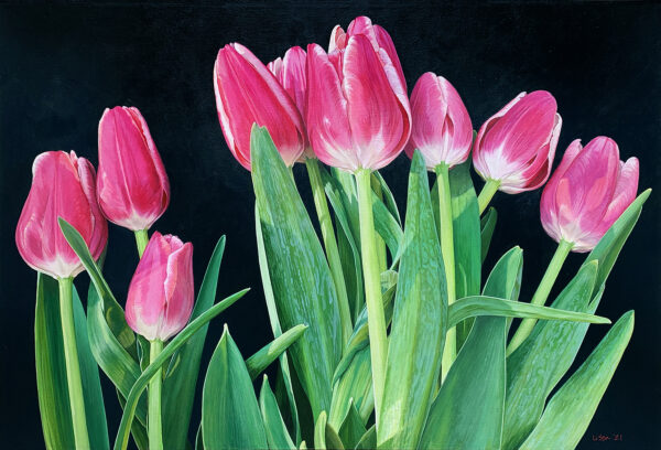 Ten Pink Tulips