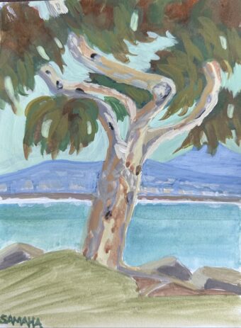 View artwork titled Eucalyptus Boogie