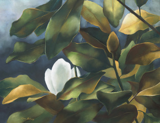 View artwork titled Magnolia Glow 