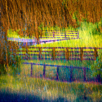 View artwork titled Horses Day Off