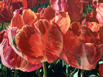 View artwork titled Wicked Farm Tulips