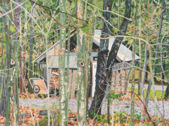 View artwork titled Woodshed