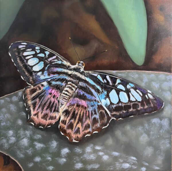 Blue Clipper