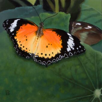 View artwork titled Leopard Lacewing