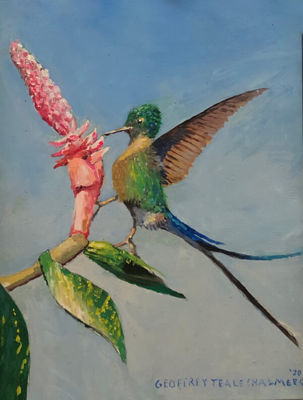 Hummingbird