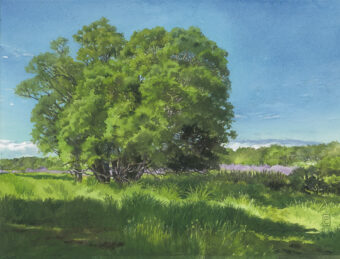 View artwork titled Morning Walk to the Lupine Field