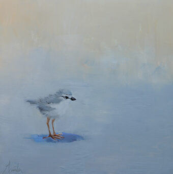 View artwork titled Plover Chick