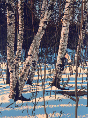 View artwork titled White Birch Shadows