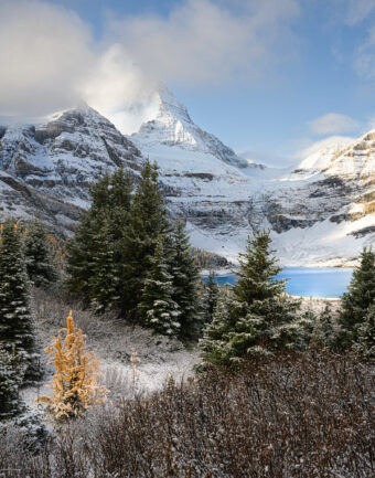 View artwork titled Mt. Assiniboine