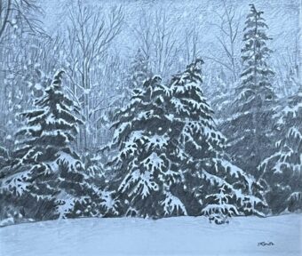 View artwork titled Backyard Snow