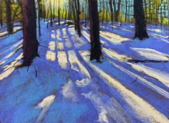 View artwork titled Winter Shadows