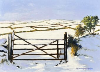 View artwork titled Kelley_Cameron_Snow Valley Gate