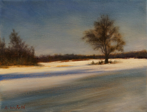 Silent Sentinel and the Long Shadows of Winter