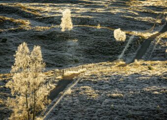 View artwork titled Winter Journey II