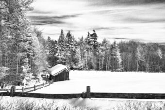 View artwork titled Snow on the Ground II